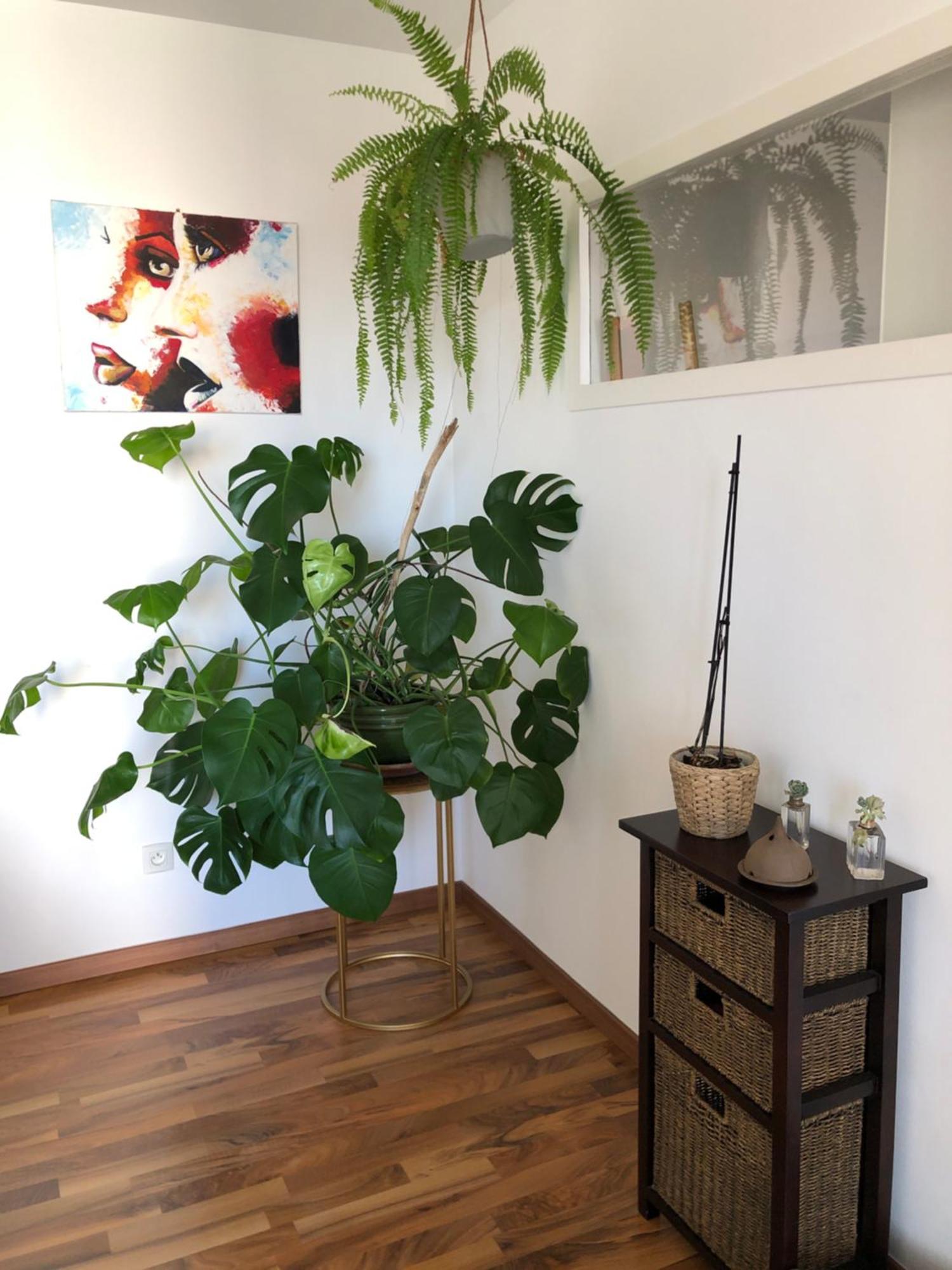 Bel Appartement Nimois Au Calme Avec Balcon Nîmes Zewnętrze zdjęcie